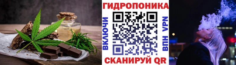 цена   Зерноград  Canna-Cookies конопля 