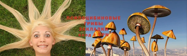 apvp Абинск