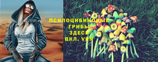 apvp Абинск